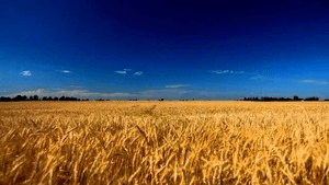 Зображення новини: {{ item.title }}